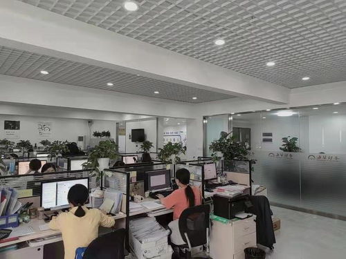 都江堰市与新津县 工商注册与个人商务服务全攻略